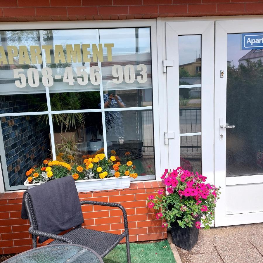 Apartament Przy Bialym Koniu Koszalin Exterior foto