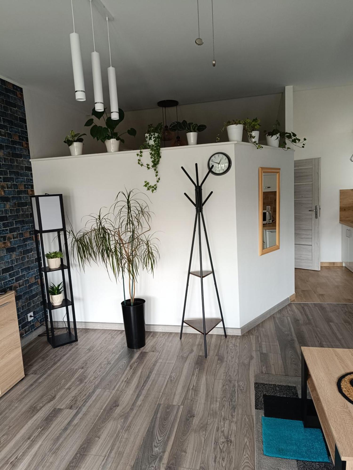 Apartament Przy Bialym Koniu Koszalin Exterior foto